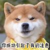你成功引起了我的注意