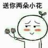 送你两朵小花