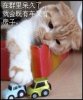 在群里待久了就会有车子和房子