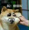 让你叫继续叫