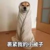 小狗：裹紧我的小被子
