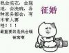 暴漫之征婚