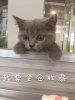 我要全仓欣泰