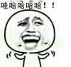 哇哈哈哈哈！