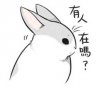 有人在吗？