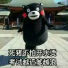 死猪不怕开水烫考试越近爹越浪
