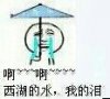 啊……西湖的水，我的泪