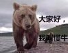 大家好我叫慢牛