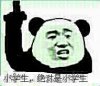 绝对是小学生